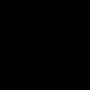 Meet your Posher, Kaila